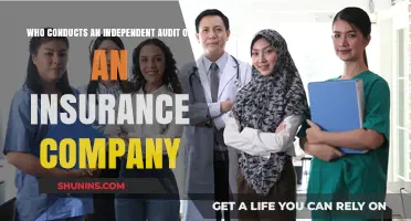 Who Oversees Independent Audits of Insurance Companies: Key Insights