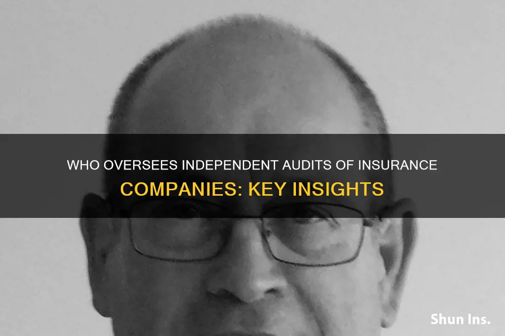 who conducts an independent audit on an insurance company