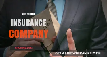 Who Really Controls Insurance Companies: Owners, Regulators, or Shareholders?