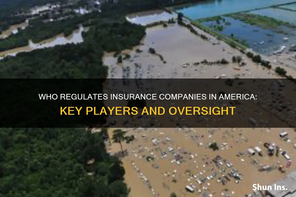 who controls insurance companies in america
