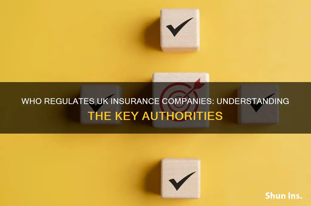 who controls insurance companies in uk