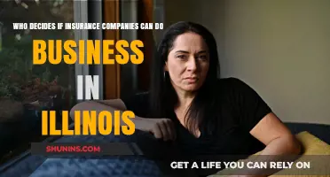 Illinois Insurance Oversight: Who Approves Companies Operating in the State?