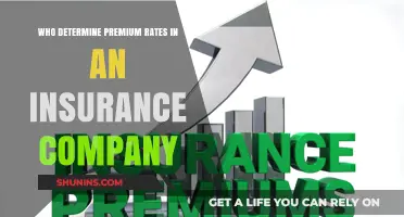 Who Sets Your Insurance Premiums? Understanding Rate Determination