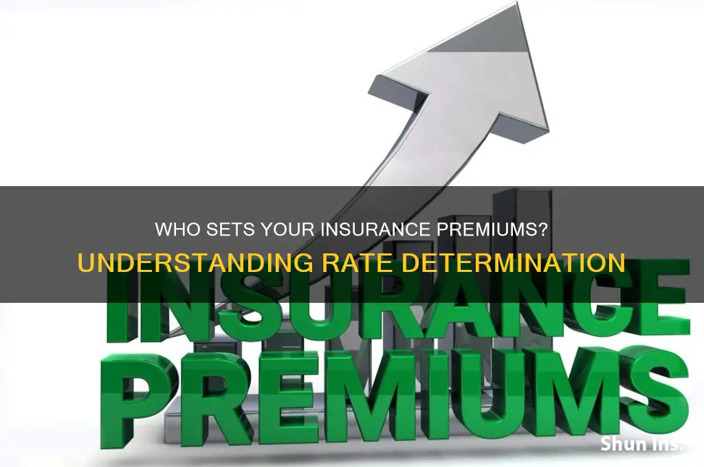 who determine premium rates in an insurance company