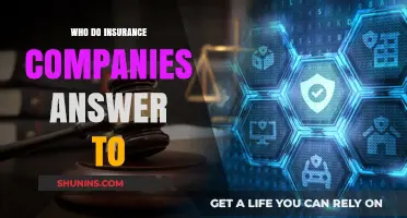 Who Regulates Insurance Companies: Accountability and Oversight Explained