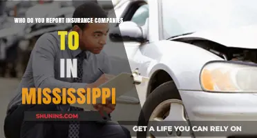 Reporting Insurance Companies in Mississippi: Who to Contact and How