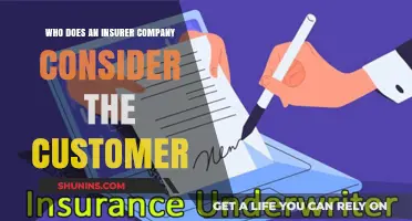 Who's the Real Customer? Understanding Insurer Company Perspectives