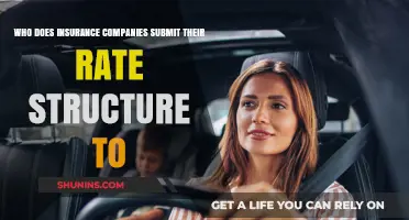 Who Regulates Insurance Rates? Understanding Rate Structure Submissions