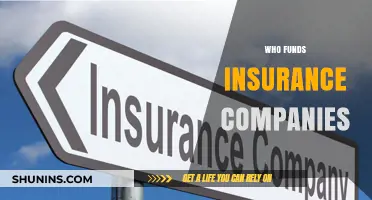 Unveiling the Financial Backers: Who Funds Insurance Companies?