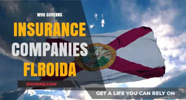 Who Regulates Florida's Insurance Companies: Understanding the Governing Bodies