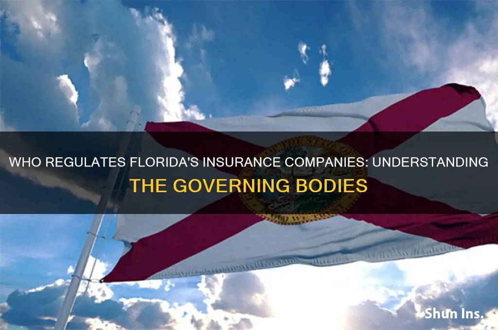 who governs insurance companies flroida