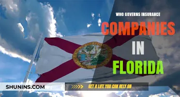 Who Regulates Florida's Insurance Companies? A Comprehensive Governance Overview
