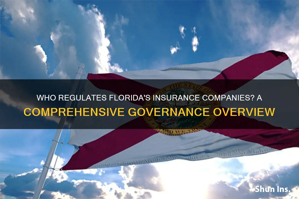 who governs insurance companies in florida