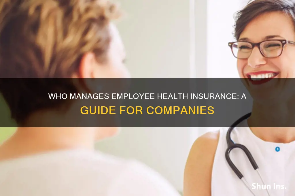 who handles health insurance for a company