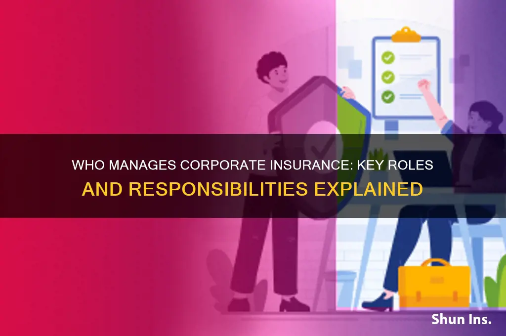 who handles insurance in a company