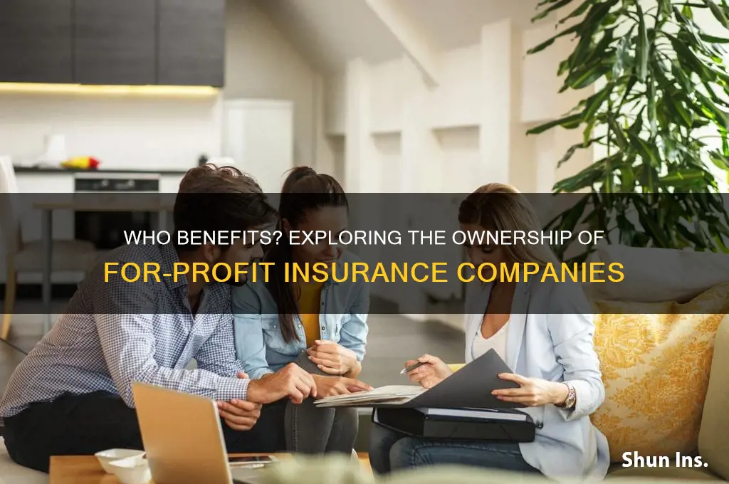 who has for profit insurance companies