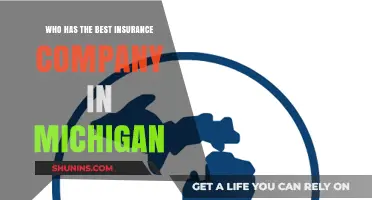 Top Michigan Insurance Companies: Who Offers the Best Coverage?
