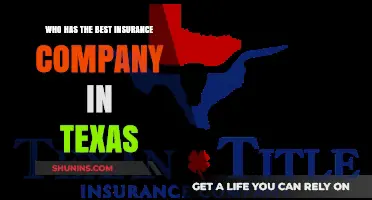Top Texas Insurance Companies: Who Offers the Best Coverage?