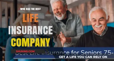 Top Life Insurance Companies: Who Offers the Best Coverage?