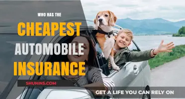 Affordable Auto Insurance: Who Offers the Best Rates?