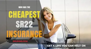 Cheapest SR22 Insurance Providers: Comparing Top Affordable Options