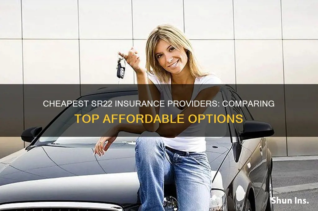 who has the cheapest sr22 insurance