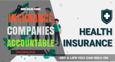 Who Oversees Home Insurance Companies? Accountability and Consumer Protection Explained