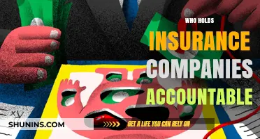 Who Regulates Insurance Companies? Accountability and Oversight Explained