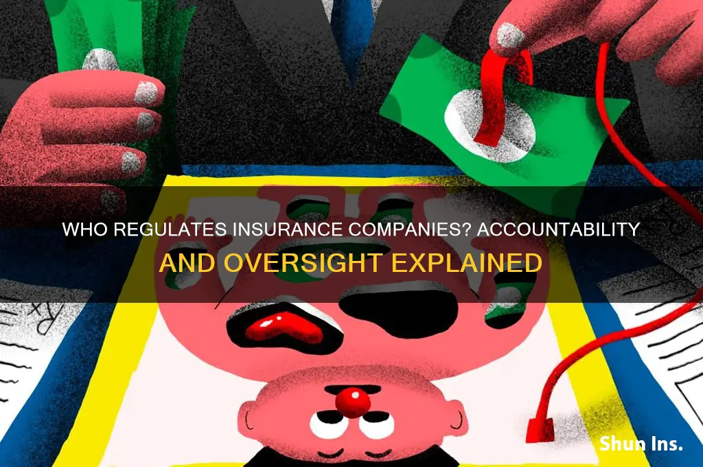 who holds insurance companies accountable