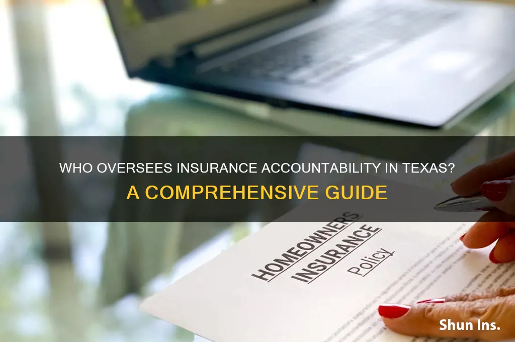 who holds insurance companies accoutable in tx