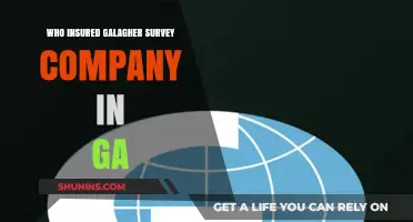 Who Insured Gallagher Survey Company in Georgia? Unveiling the Coverage