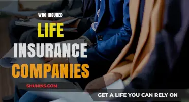 Who Insures the Insurers? Understanding Life Insurance Company Reinsurance