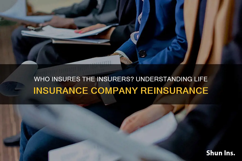 who insured life insurance companies