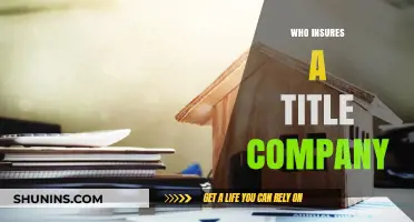 Who Insures a Title Company? Understanding the Role of Underwriters