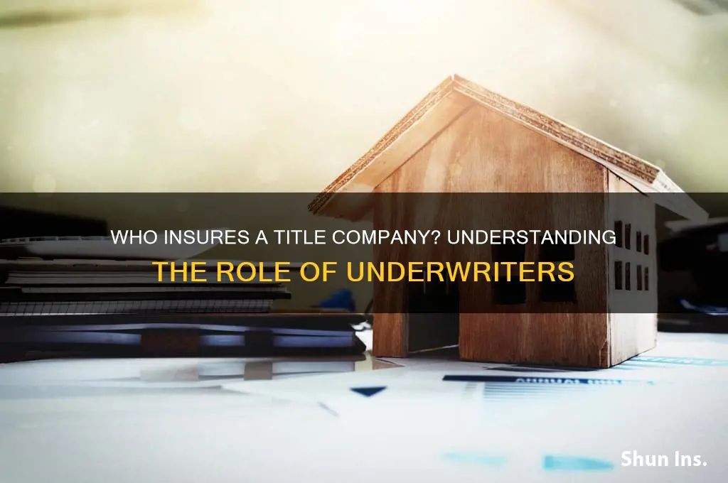 who insures a title company
