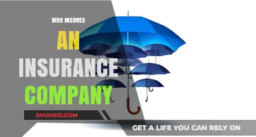 Who Insures the Insurers? Unveiling the Safety Net Behind Insurance Companies