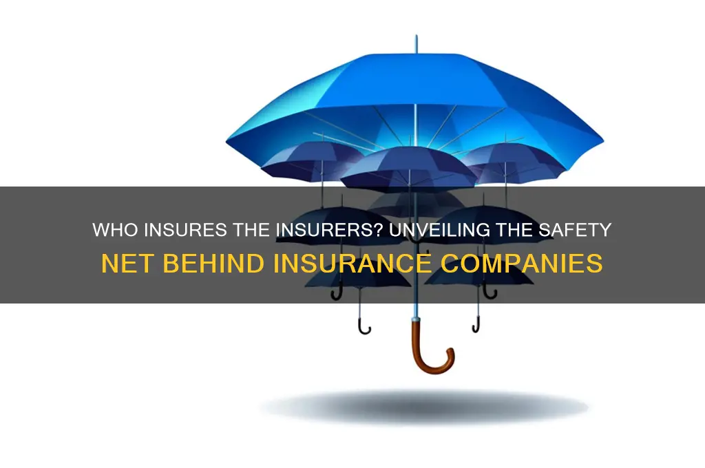 who insures an insurance company