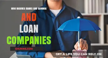 Understanding Bank and Savings & Loan Insurance: Who Protects Your Money?