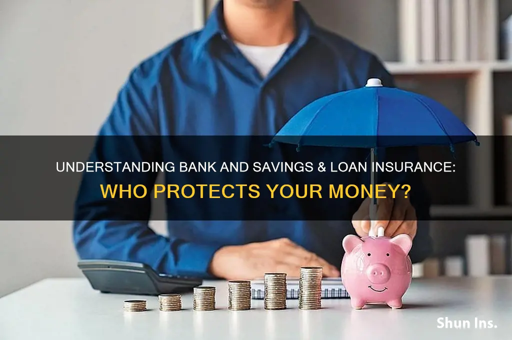 who insures banks and savings and loan companies