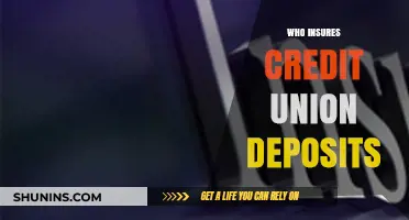 Who Protects Your Money? Understanding Credit Union Deposit Insurance