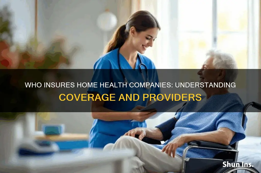who insures home health companies