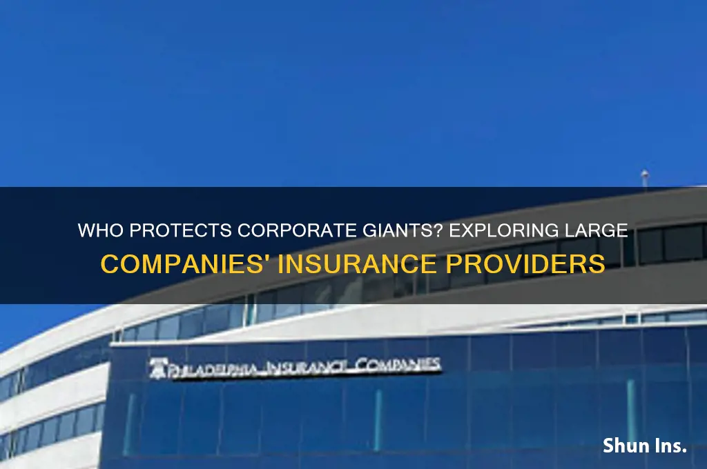 who insures large companies