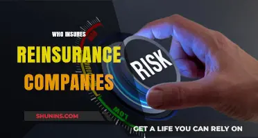 Who Insures Reinsurance Companies? Understanding the Risk Management Chain