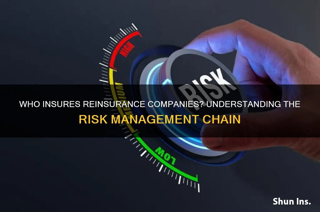 who insures reinsurance companies
