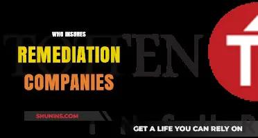 Who Insures Remediation Companies? Understanding Coverage for Environmental Cleanup