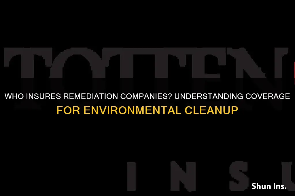 who insures remediation companies