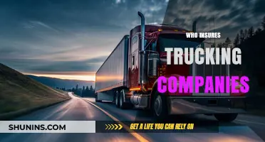 Who Insures Trucking Companies? A Guide to Commercial Coverage