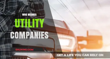 Who Protects the Protectors? Understanding Utility Companies' Insurance Coverage