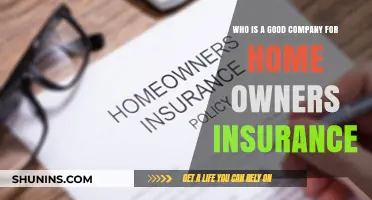 Top Homeowners Insurance Companies: Finding the Best Coverage for You
