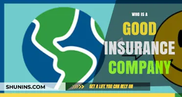 Choosing the Right Insurance Provider: What Makes a Company Good?